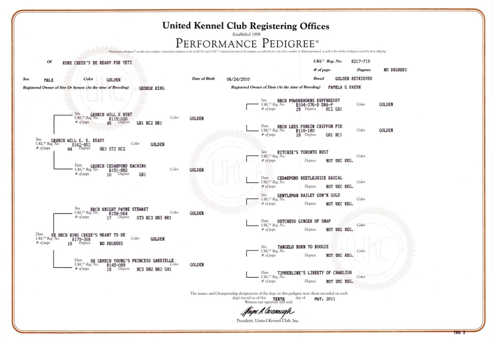 UKC Pedigree YETI